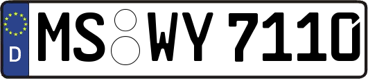 MS-WY7110