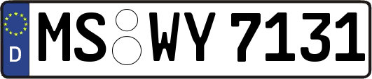 MS-WY7131