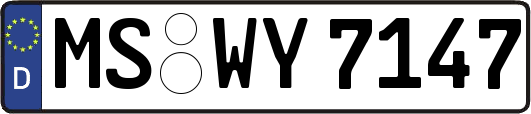 MS-WY7147