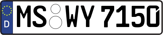 MS-WY7150