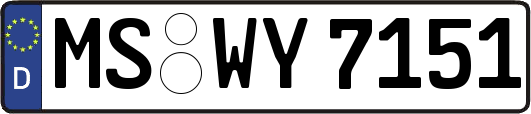 MS-WY7151