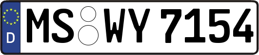 MS-WY7154