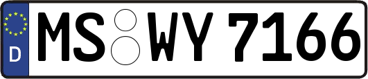 MS-WY7166
