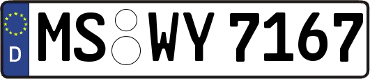 MS-WY7167