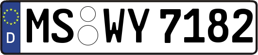 MS-WY7182