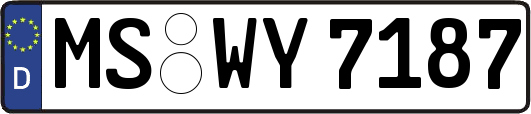 MS-WY7187
