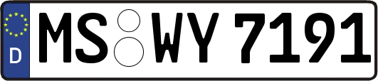 MS-WY7191