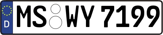 MS-WY7199