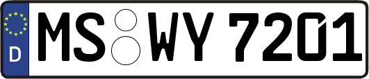 MS-WY7201