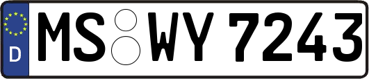 MS-WY7243