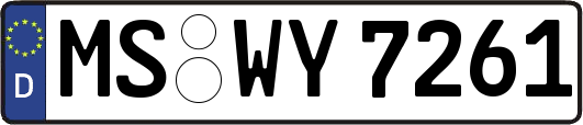 MS-WY7261