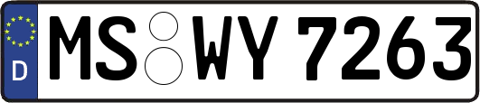 MS-WY7263