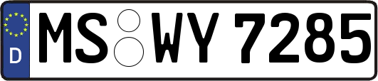 MS-WY7285
