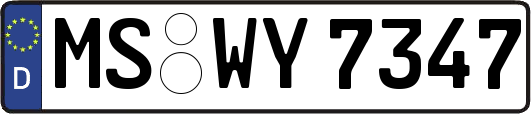 MS-WY7347