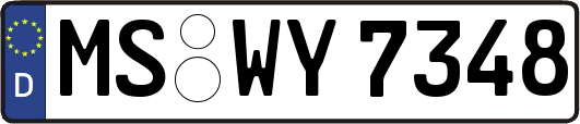 MS-WY7348