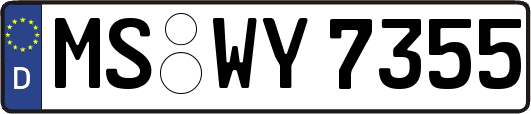 MS-WY7355