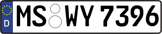 MS-WY7396