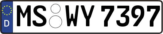 MS-WY7397