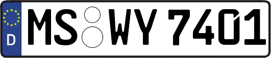MS-WY7401