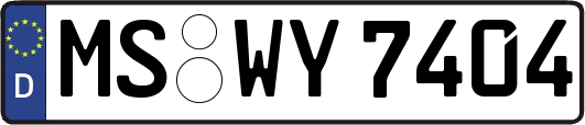 MS-WY7404