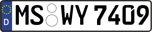 MS-WY7409
