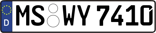 MS-WY7410
