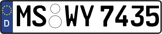 MS-WY7435