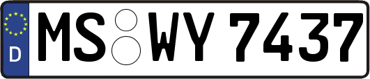 MS-WY7437