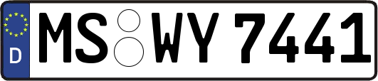 MS-WY7441