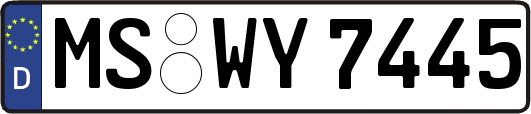 MS-WY7445