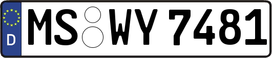 MS-WY7481