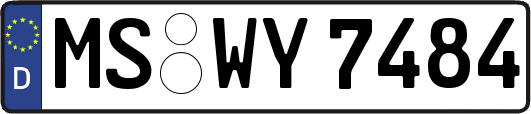 MS-WY7484
