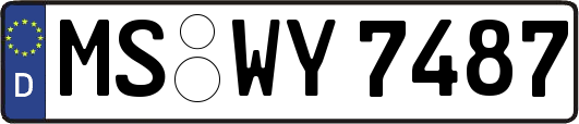 MS-WY7487