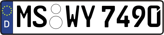 MS-WY7490