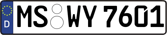 MS-WY7601