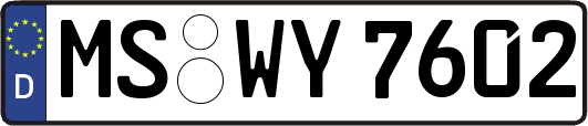 MS-WY7602