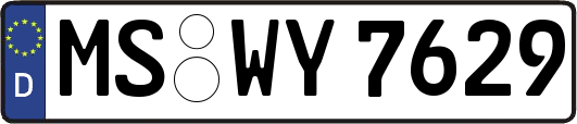 MS-WY7629