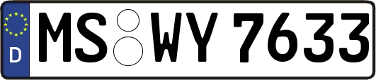 MS-WY7633