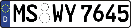 MS-WY7645