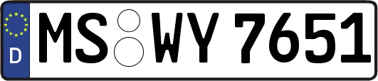 MS-WY7651