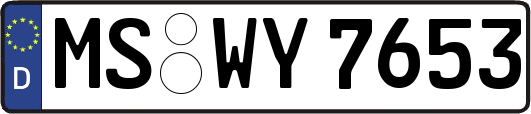 MS-WY7653