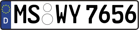 MS-WY7656