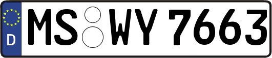 MS-WY7663