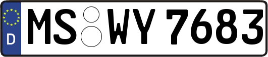 MS-WY7683