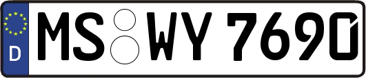 MS-WY7690