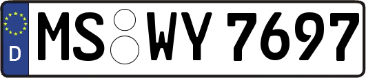 MS-WY7697