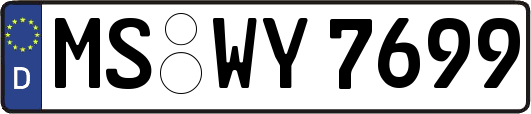 MS-WY7699