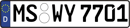 MS-WY7701