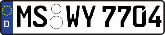 MS-WY7704