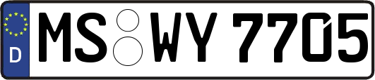 MS-WY7705
